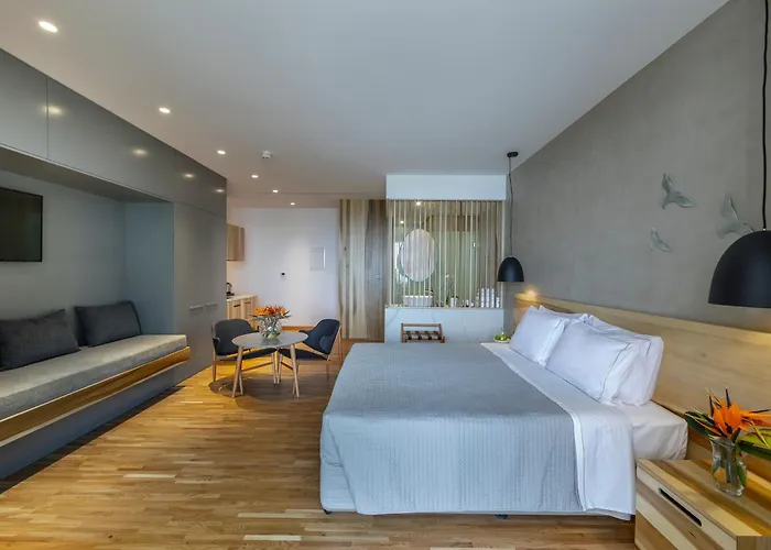 Hotel Anemi Hotel&suites 4*