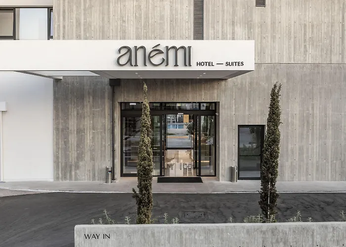 Otel Anemi &