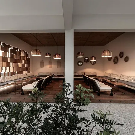 Hotel Anemi &